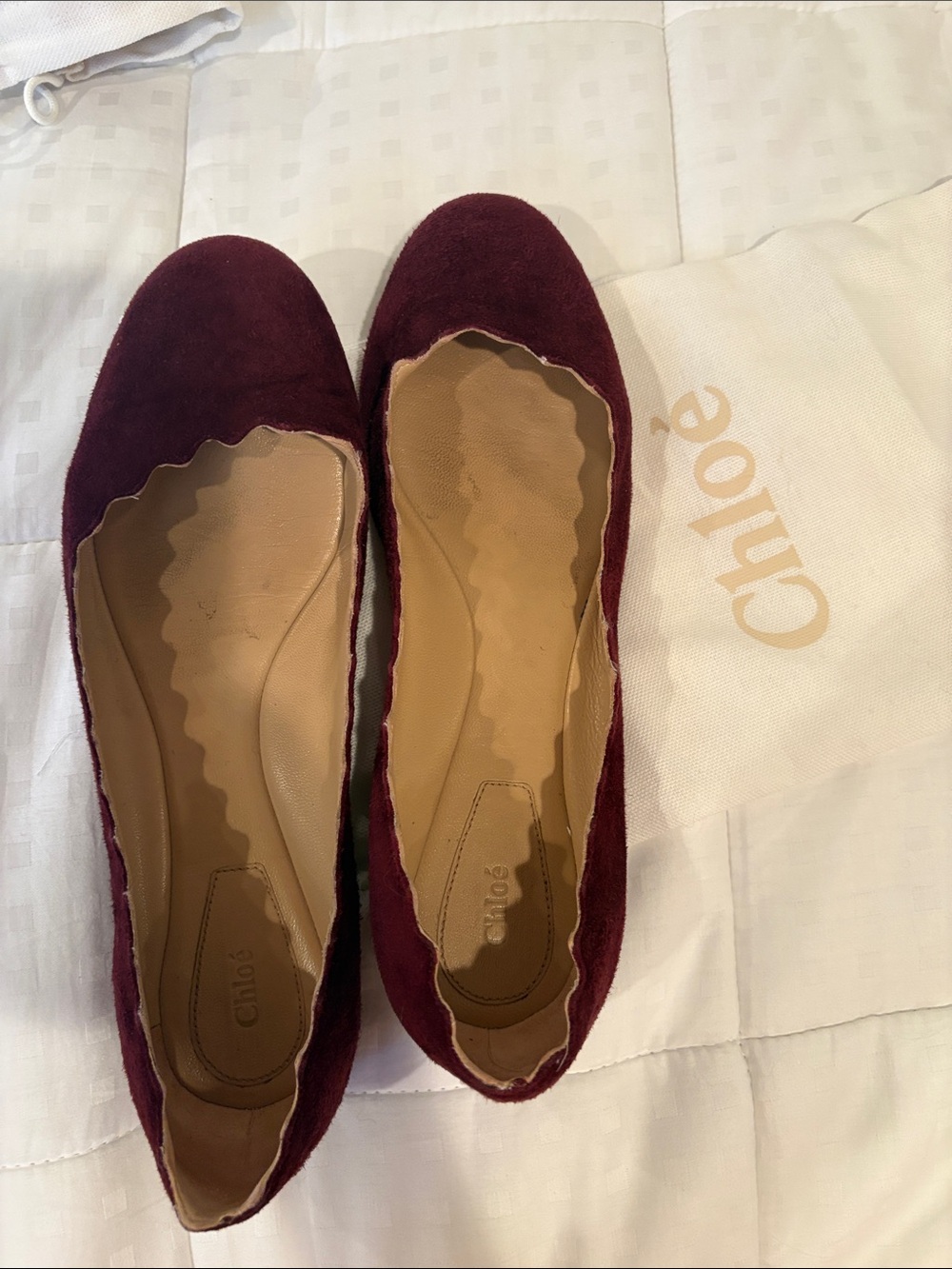 Chloe Burgundy Suede Scalloped Ballet Flats